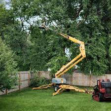 How Our Tree Care Process Works  in Russells Point, OH